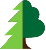 ��� Sibirske drevo 